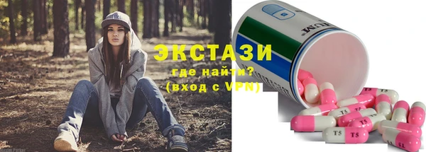 дмт Каменка
