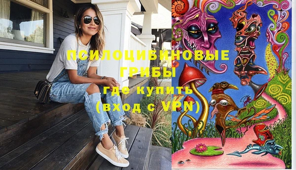 шишки Зеленокумск
