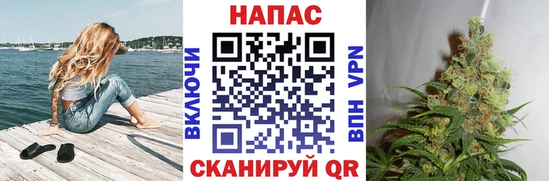 Канабис семена  цена наркотик  Сенгилей 